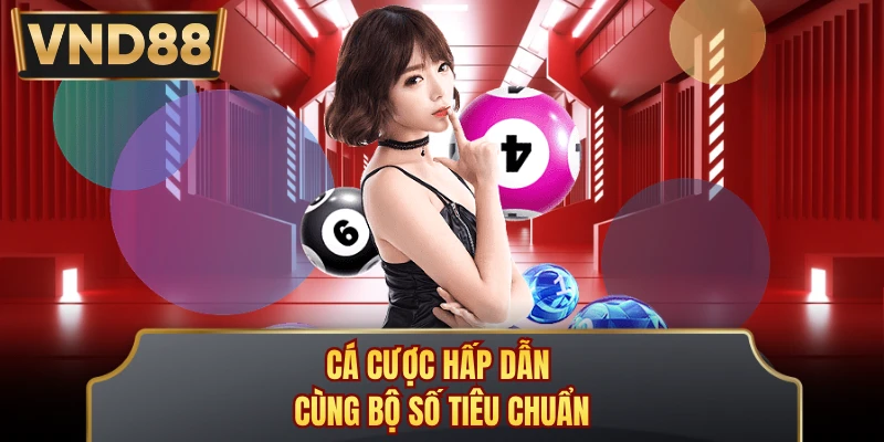 Cá cược hấp dẫn cùng bộ số tiêu chuẩn