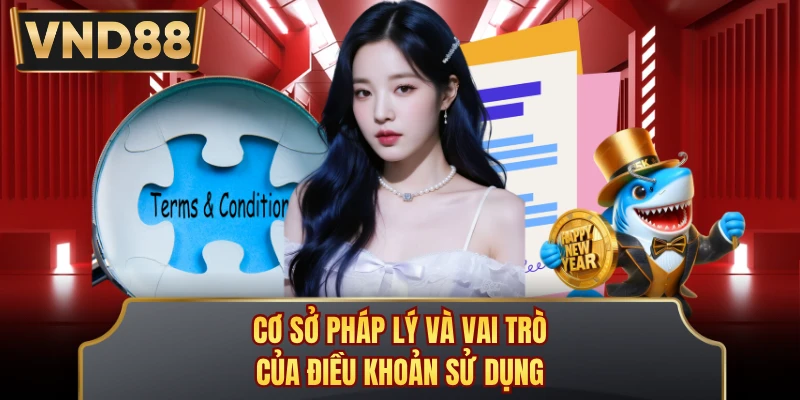 Cơ sở pháp lý và vai trò của điều khoản sử dụng