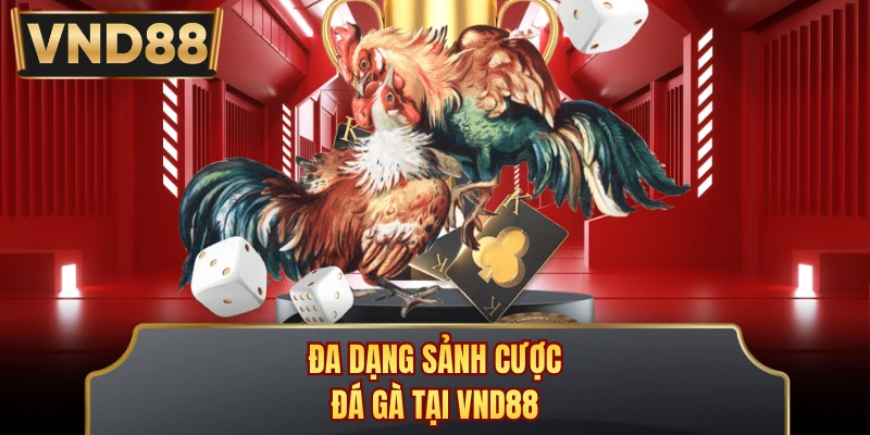 Đa dạng sảnh cược đá gà tại VND88