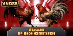 Đá Gà Cựa Dao - Top 1 Trò Chơi Kịch Tính Tại VND88 