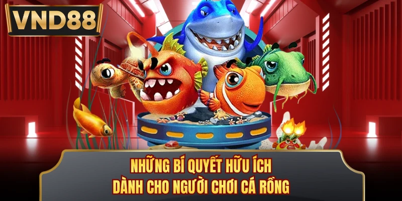 Những bí quyết hữu ích dành cho người chơi Cá Rồng