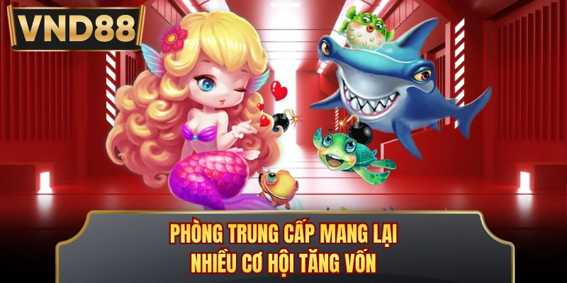 Phòng trung cấp mang lại nhiều cơ hội tăng vốn