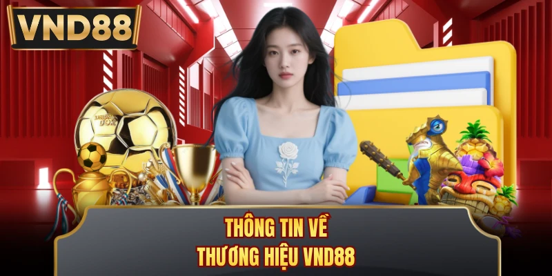 Thông tin về thương hiệu VND88