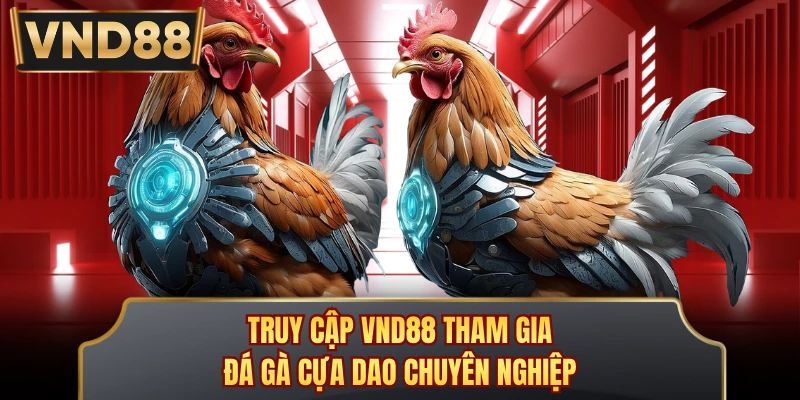 Truy cập VND88 tham gia đá gà cựa dao chuyên nghiệp